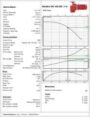 Ksb Betaline GN 100-250 11 kW