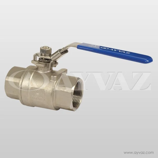 KÜRESEL VANA PASL 2 PRÇ.PN63 11/4'' V-2T 304