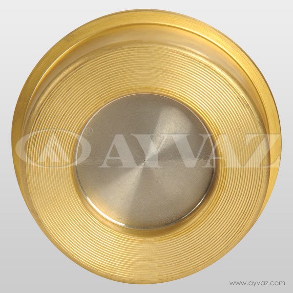 ÇEKVALF DİSCO PRİNÇ DN100  ÇV-10/P